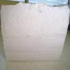 saltbarriceflowerP